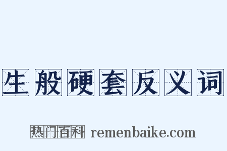 生般硬套反义词是什么意思的图片